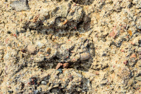 Brown grunge wall stone background or texture solid nature rockの写真素材