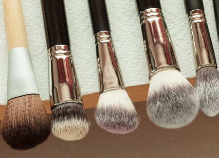 Beauty and makeup. Set of wet professional make up brushes after washing is drying