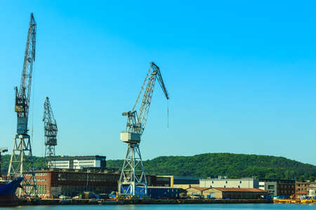 Business and commerce. Heavy load dockside cranes in port, cargo container yard. Industrial sceneの写真素材