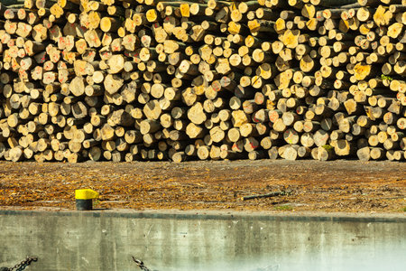 pile of logs at the port ready for loading to ships. Industry