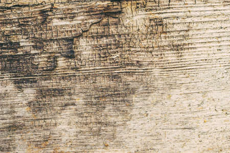 Brown grunge wall stone background or texture solid nature rockの写真素材