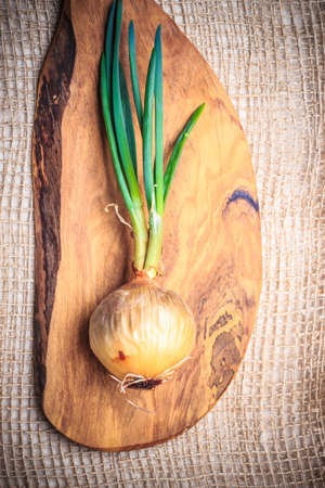 Onion bulb with chives fresh green sprout, vegetable food on wooden boardの写真素材