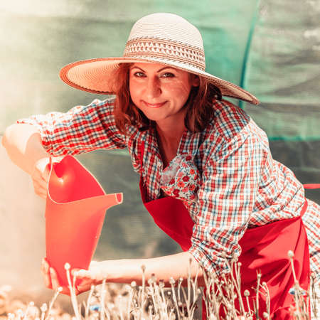 Gardening. Attractive woman in hat red apron working in her backyard garden watering flowers outdoorの写真素材
