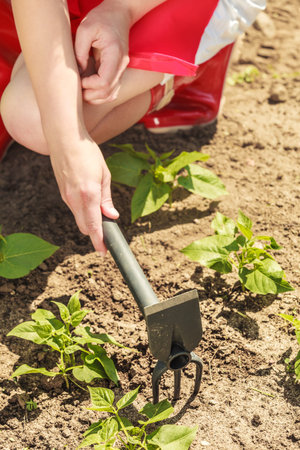 Closeup woman with gardening tool working in her backyard garden outdoor