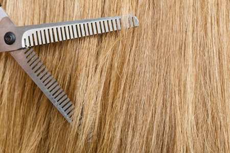 Professional cutting and barber shop. Close up of detail equipment black special scissors cut blonde straight long smoothy hair.の写真素材