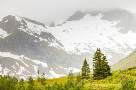 Tourism vacation and travel. Mountains landscape at summer and snowcapped mountain tops in the background, Norway, Scandinavia.の写真素材