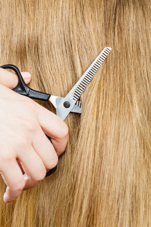 Professional cutting and barber shop. Close up of detail equipment black special scissors cut blonde straight long smoothy hair.の写真素材