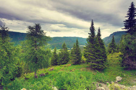 Tourism vacation and travel. Mountains landscape at summer in Norway, Scandinavia.の写真素材