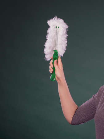 Cleaning time. Female hand holding rag cloth to clean house. Professional service with equipment.の写真素材