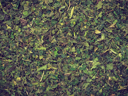 Healthy food, healing herbs, alternative herbal medicine concept. Food background of green dried nettle leavesの写真素材