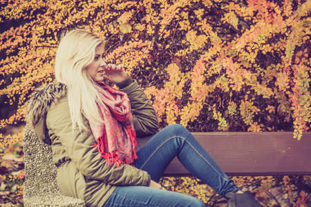 Woman relaxing sitting on bench in park during autumn weather, gold seasonal leaves in background.の写真素材