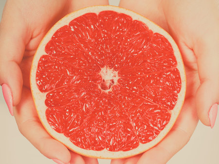 Half of red grapefruit citrus fruit in female hands closeup. Healthy diet weight loss concept. Filtered photoの写真素材