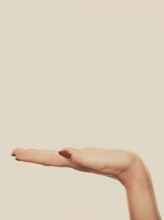 Paying attention to something, advertisement concept. Woman hand pointing at something in copyspaceの写真素材