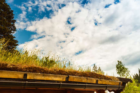 Norwegian typical country house with grass on the roofの写真素材
