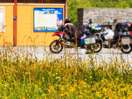 Travel tourism in summertime. Yellow flowers in the foreground and motorcycles on rest place in the backgroundの写真素材