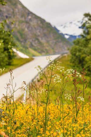 Road running through norwegian mountains. Beautiful landscape. Travel and tourism.の写真素材