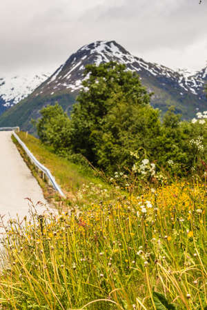 Road running through norwegian mountains. Beautiful landscape. Travel and tourism.の写真素材
