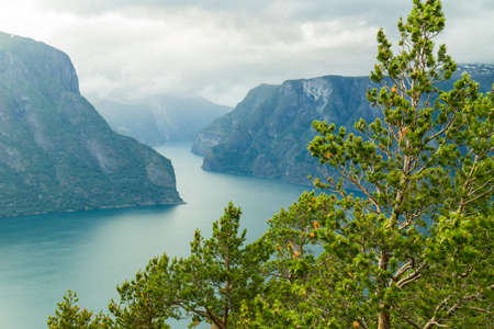 Tourism and travel. Scenic nature landscape. View to picturesque Aurlandfjord and Sognefjord from Stegastein viewpoint, Norway Scandinavia.の写真素材