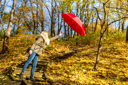 Autumn weather concept. Woman walking in park holding red umbrella fighting with strong windの写真素材