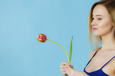 Shot of woman holding romantic tulip. Women day gift. Studio shot on blue background.の写真素材
