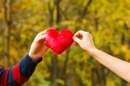 Romance relationship feelings symbolism concept. Two people holding heart. Humans presenting love symbol together.の写真素材