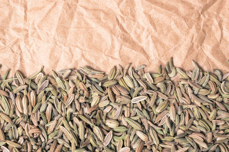 Dried fennel dill seeds border frame on paper background