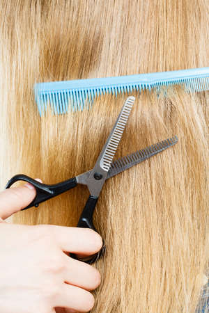 Cutting down and shearing concept. Blonde woman cuts and combing her straight smoothy fair hair. Professionalist making new coiffure hairdo.の写真素材