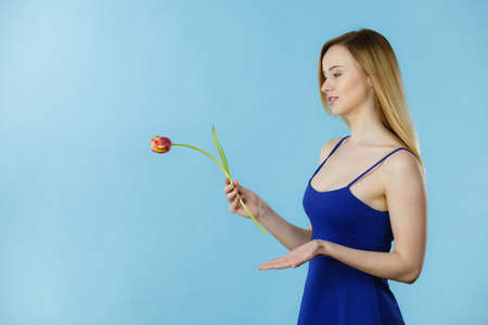 Shot of woman holding romantic tulip. Women day gift. Studio shot on blue background.の写真素材