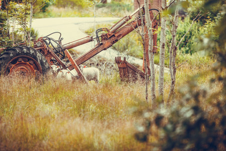 Abandoned old agricultural machinery covered with rust in high grass. Outdoor shot on sunny day.
