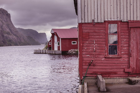 Traditional red houses in small historic fishing village Norwayの写真素材