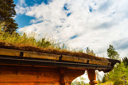 Norwegian typical country house with grass on the roofの写真素材