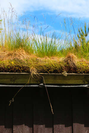 Norwegian typical country house with grass on the roofの写真素材