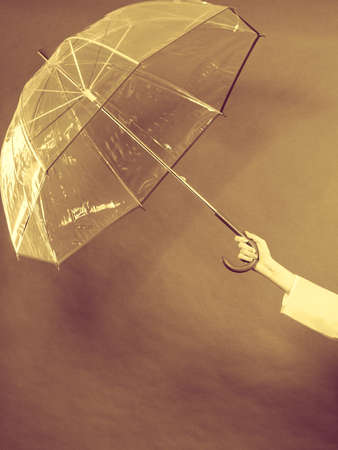 Rainy day autumnal accessories concept. Woman hand holding transparent open umbrella. Studio shot on dark background.の写真素材