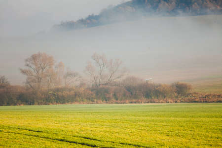 Foggy landscape in Slovakia Tatras valley. Hazy morning time, fog over green field meadow. Natural sceneryの写真素材