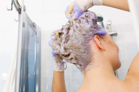 Woman applying coloring shampoo on her hair. Female having purple washing product. Toning blonde color at home.の写真素材