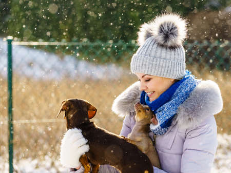 Young woman having fun during winter. Female playing with her two small purebreed dogs puppies while snow is snowingの写真素材