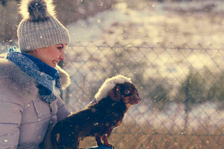 Young woman having fun during winter. Female playing with her small purebreed dachshund dog puppy while snow is snowingの写真素材