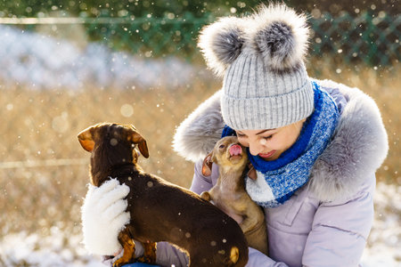 Young woman having fun during winter. Female playing with her two small purebreed dogs puppies while snow is snowingの写真素材