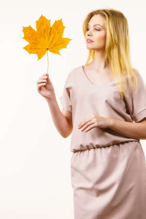 Autumnal natural decorations concept. Woman holding autumn leaf. Studio shot on white background.の写真素材