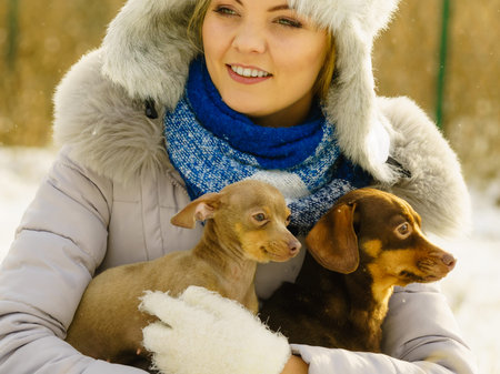 Young woman having fun during winter. Female playing with her two small purebreed dogs puppies while snow is snowingの写真素材