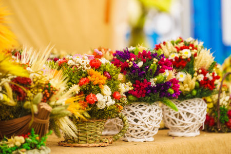 Beautiful colorful flowers in pot. Field flower bouquet. Folka flora concept.の写真素材
