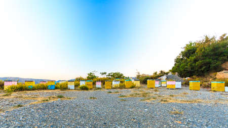 Beehive, bees home farm. Wodden hives on greek coastline. Nature, travel, food concept.の写真素材