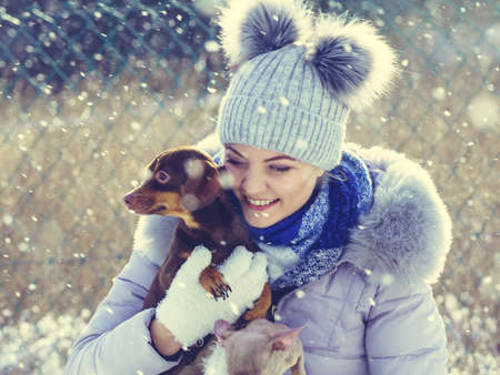 Young woman having fun during winter. Female playing with her two small purebreed dogs puppies while snow is snowingの写真素材