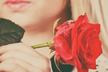 Closeup woman holding red rose near face. Attractive young blonde female with flower. Beauty, holidays, celebration concept. Toned imageの写真素材