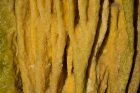 Impressive formations of the stalactites and stalagmites in Dirou Cave. Greek destination. Natural beauty. Mani, Laconia, Greeceの写真素材