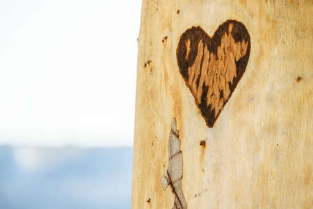 Small heart shape in piece of wood. Romantic detail close up concept.の写真素材