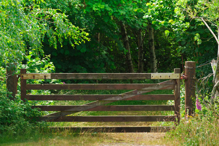 Nature summer landscape. Countryside view and rustic wooden gate