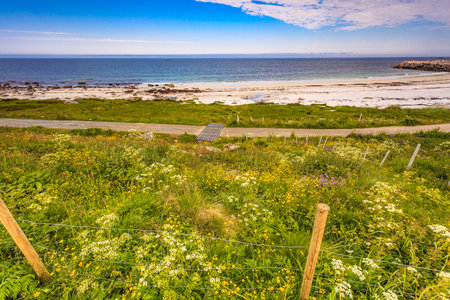 Seascape, sea coast with sandy beach breakwater and meadow flowers in resort Bleik Andoya Norway....