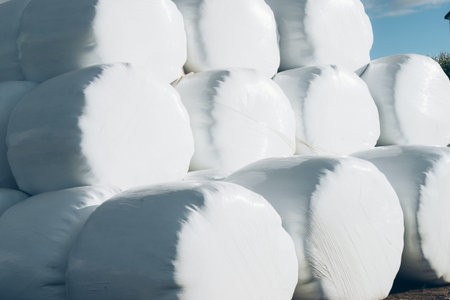 Agricultural landscape with straw packages on field. Cereal bale of hay wrapped in plastic white...