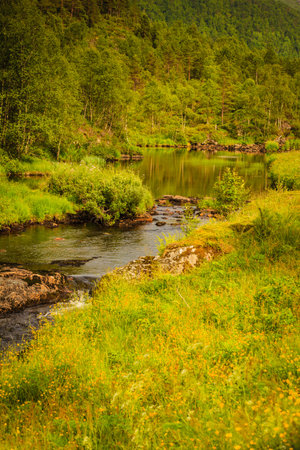 The flowing river winding through mountains, beautuful nature in Norway, island Osteroy